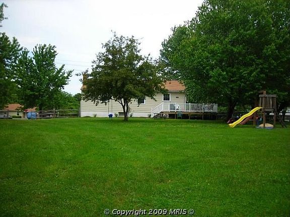 back yard