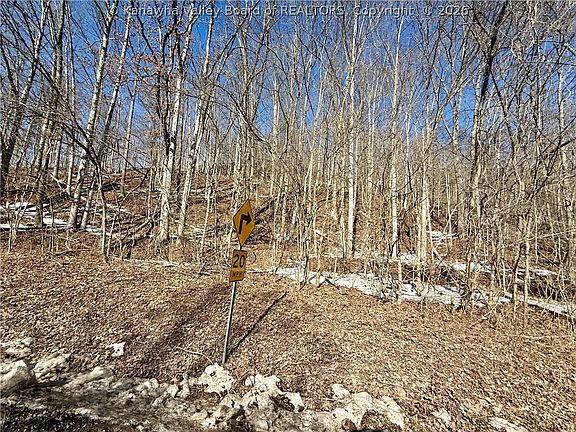 2nd image of 0 Newark Rd