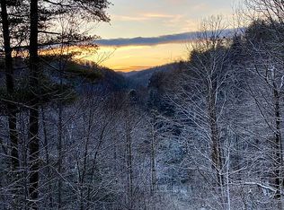 46 Bennett Branch Rd, Green Mountain, NC 28740