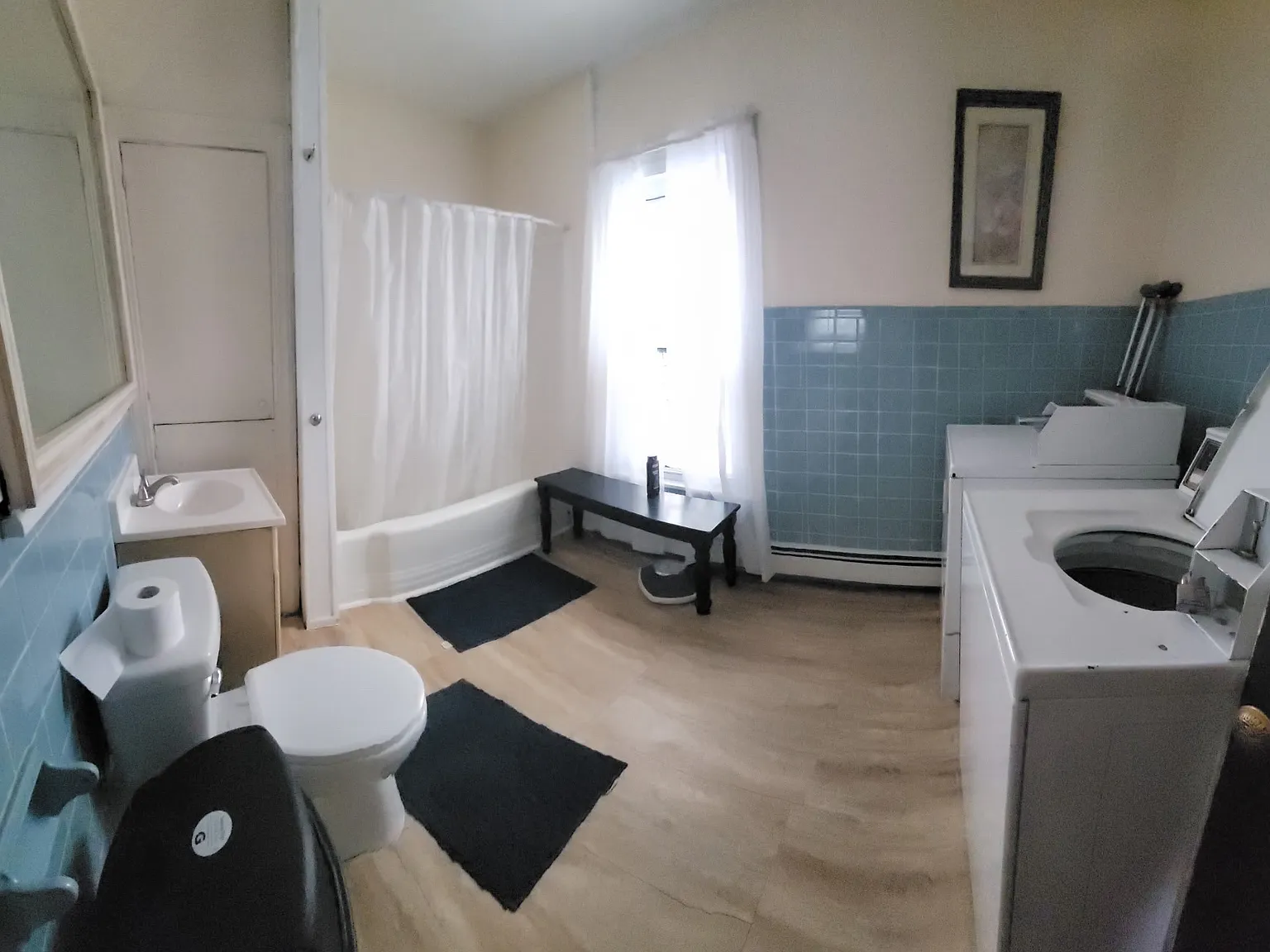 1 bed, $850 — Photo 3