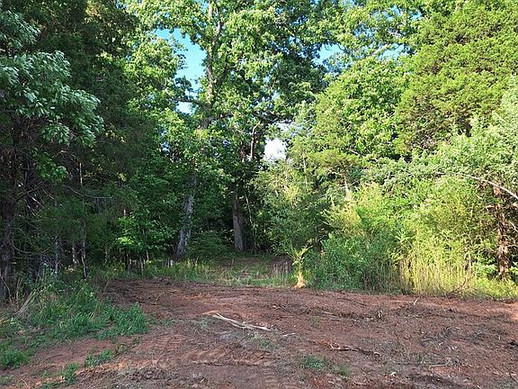 5th image of 1 Bone Cave Rd