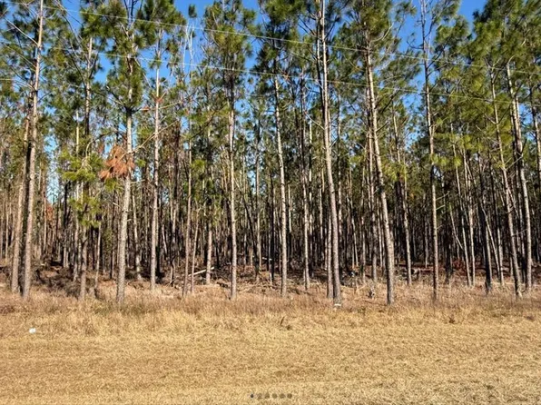 NW County Road 251, Mayo, FL 32066