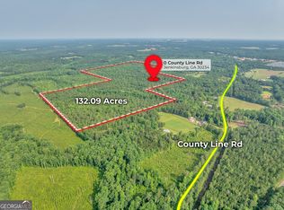 0 County Line Rd, Jenkinsburg, GA 30234