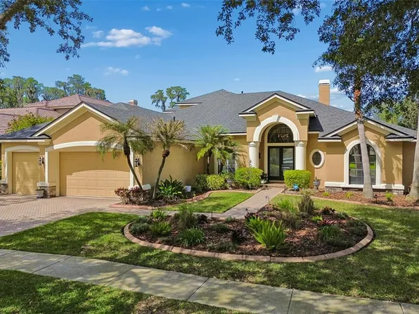 21227 Sky Vista Dr, Land O Lakes, FL 34637