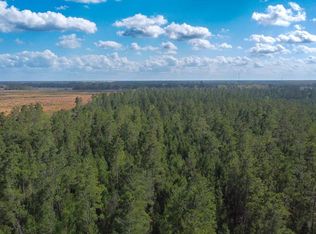 1 SE Geronimo St, Madison, FL 32340