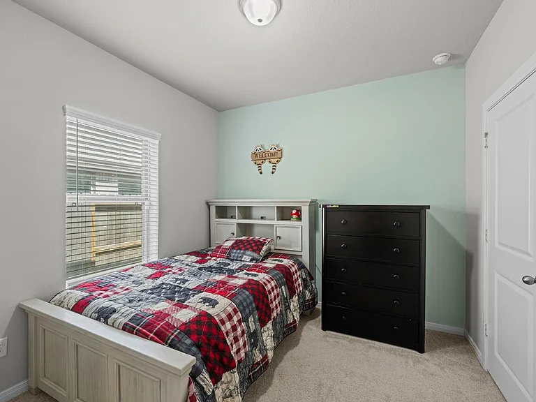 30319 Tall Fescue Dr — Photo 8
