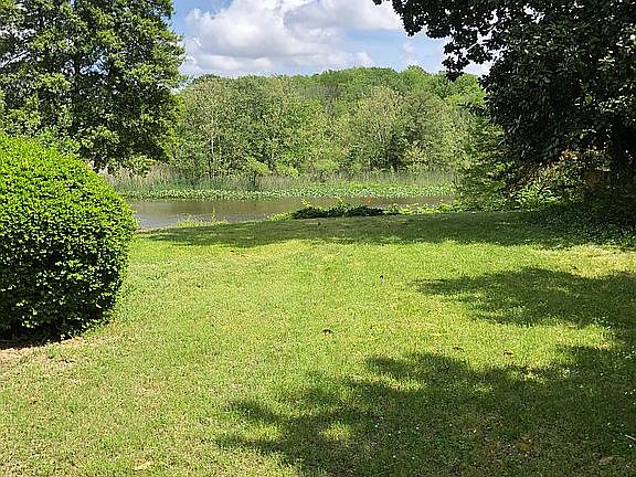 Backyard view