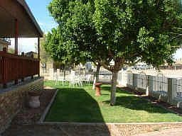 Mature Landscaping