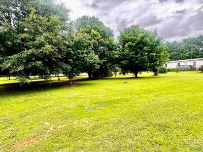 350 County Road 49, Cedar Bluff, AL, 35959