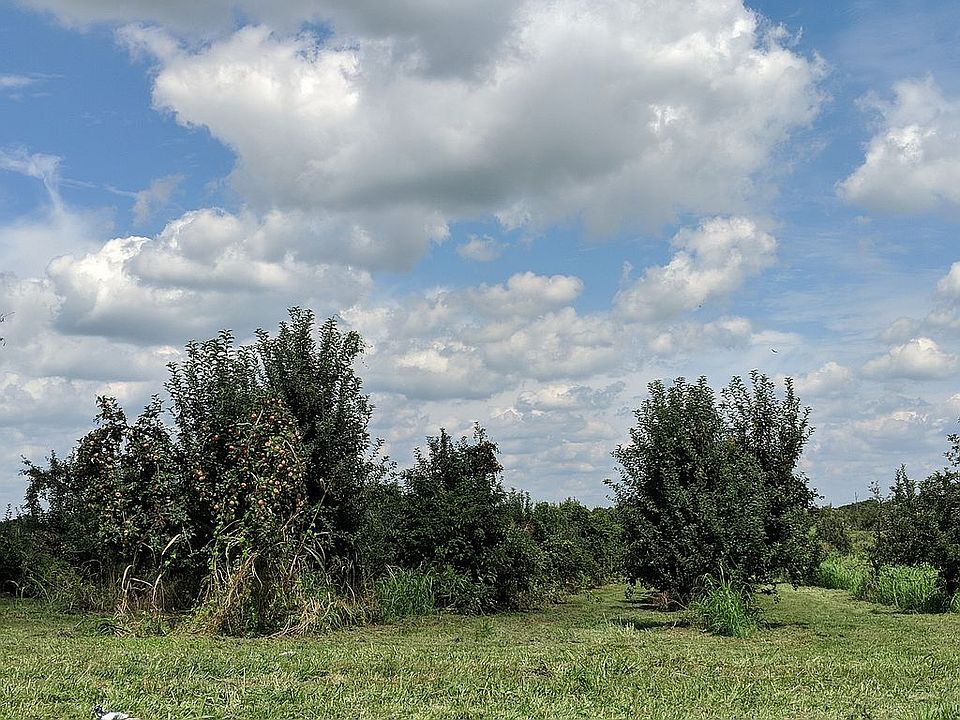 Minutes from property