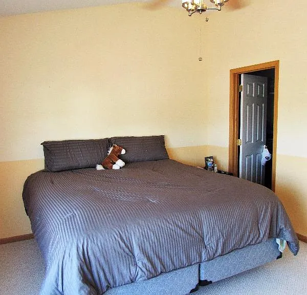 Master bedroom with one walk in closet. Second bigger closet facing the footboard of bed(not shown in photo)