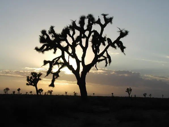 Avenue R12 Drt Vic 105th S, Sun Village, CA 93543