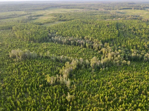 0 Highway 63, Leakesville, MS 39451