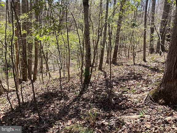 5th image of Indian Trace Trl