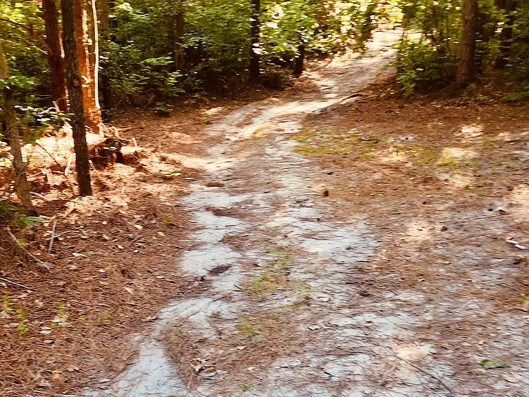 Chippokes Rd — Photo 45