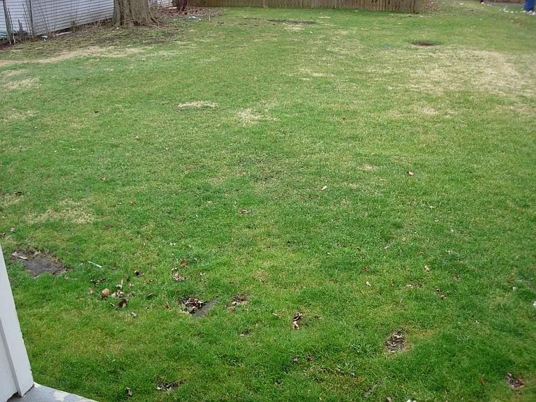 233 E Bigelow Ave #B — Photo 10