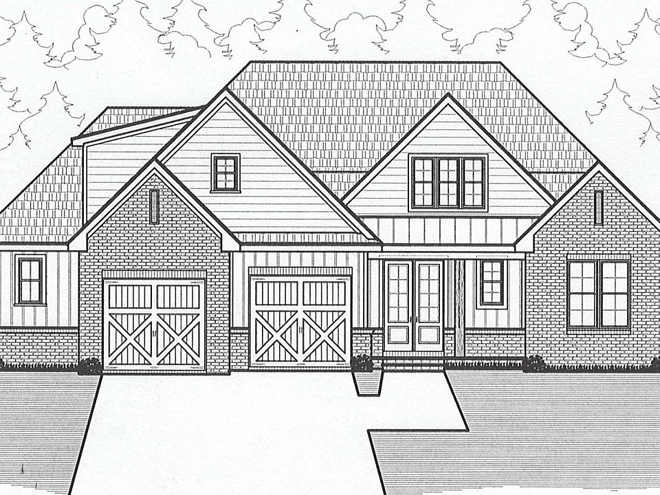 1st image of 462 Sugar Magnolia Cv