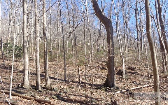 3rd image of Tbd Cottontail Trail