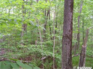 LOT 66 N Lake Winter Rd, Winter, WI 54896
