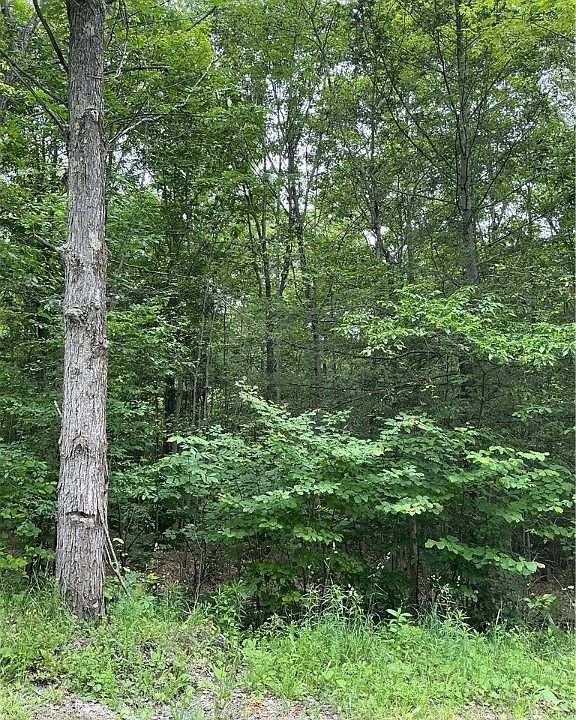 2nd image of 0 Cooper Hill Rd