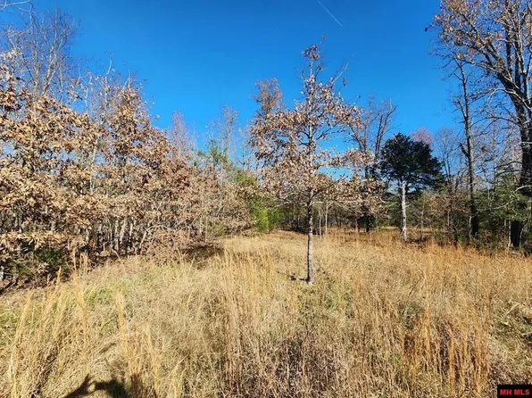 001-04389 River Hill Rd #0, Glencoe, AR 72539