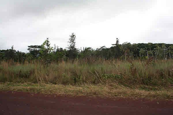 1st image of 13th Ave Lot 1143