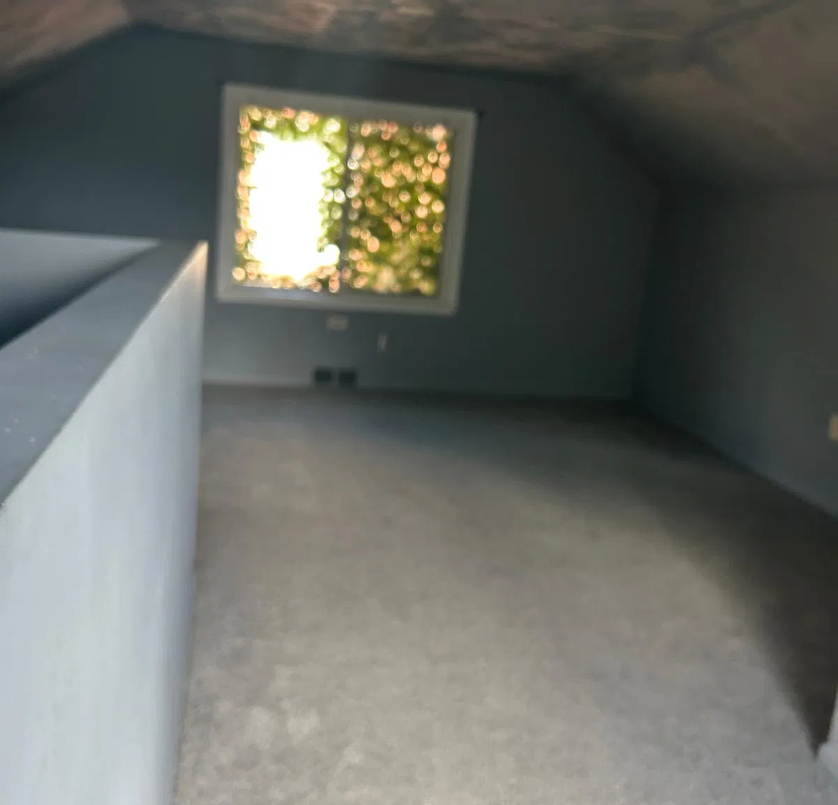 3 bed, 1239 sqft, $1,300 — Photo 4