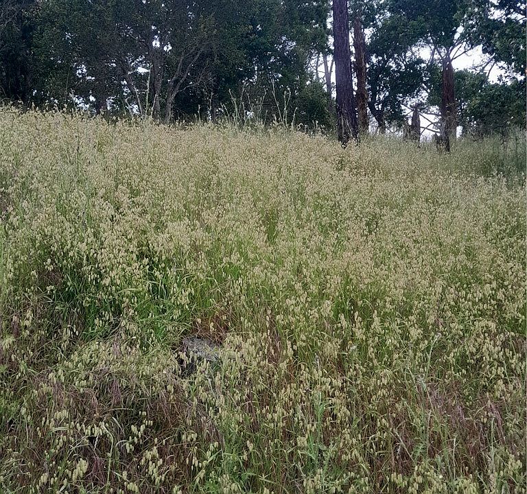 1st image of 0 Pineridge Dr #11