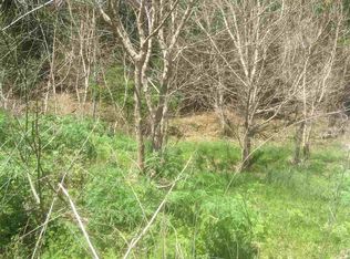 Patience Way, Bybee, TN 37713