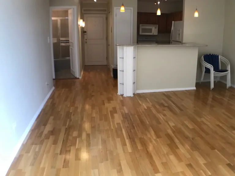 1550 N Lake Shore Dr #4D — Photo 2