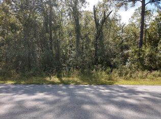 4669 Gopher St, Middleburg, FL 32068