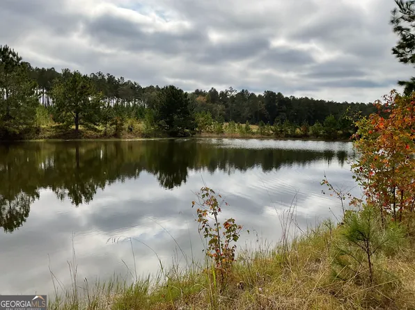 0 Oak Grove Ln, Sylvania, GA 30467