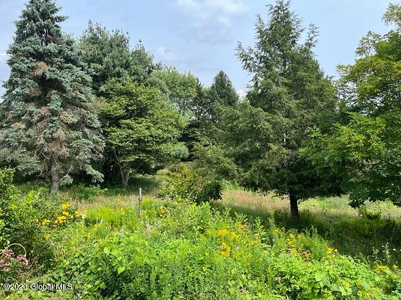 5th image of 319 Leloup Road