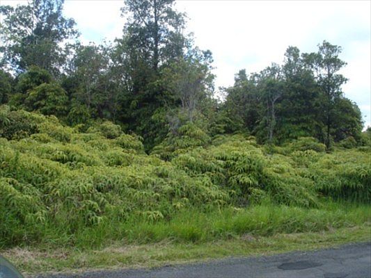 1st image of Plumeria St Lot 6711