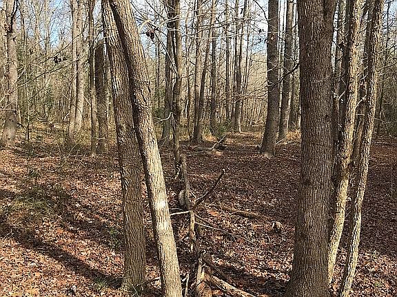 2nd image of 1095 County Road 1581