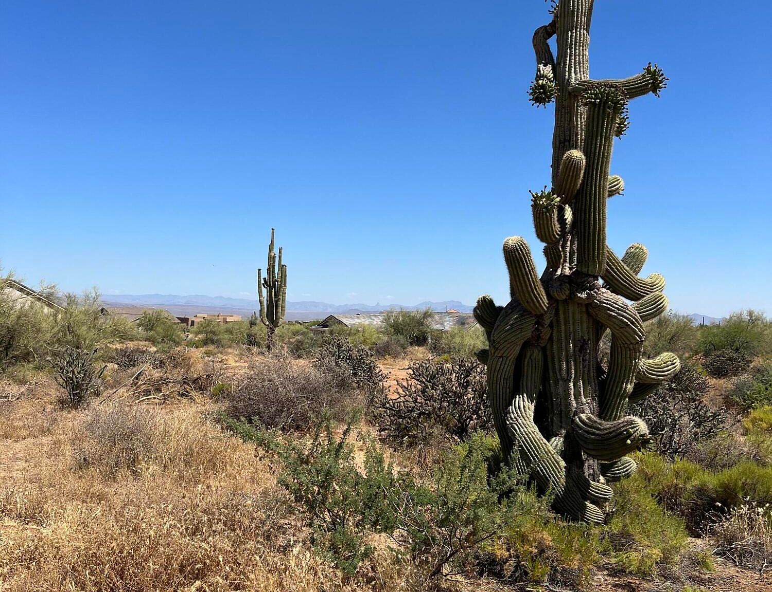 Xx E Carefree Hwy 2, Scottsdale, AZ 85262 MLS 6576284 Zillow