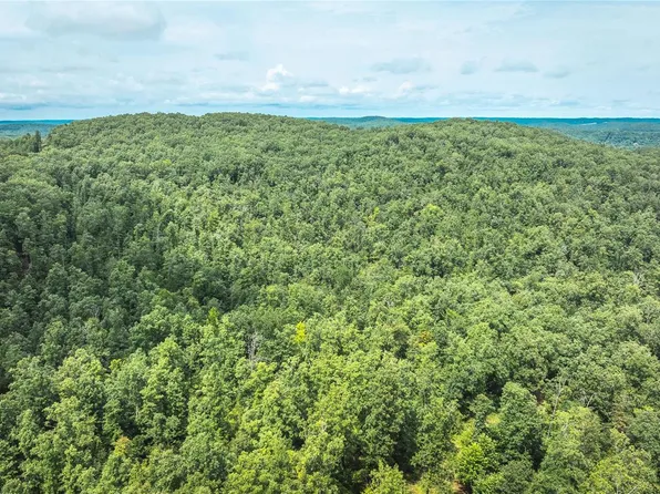 0 Carter Rte W #M, Van Buren, MO 63965