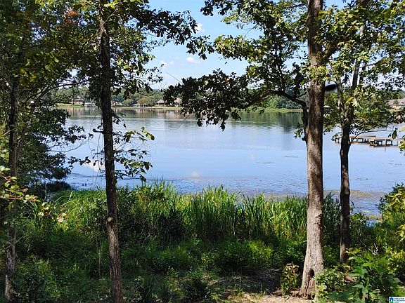 3rd image of 0 Boathouse Cir Lot 113