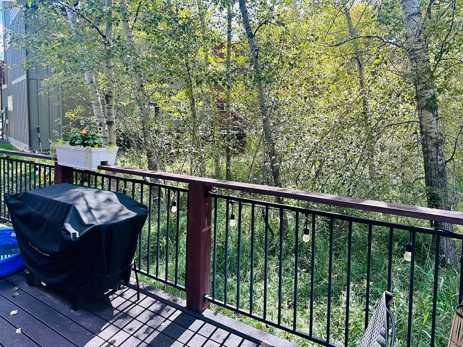 3 bed, 1404 sqft, $3,100 — Photo 4