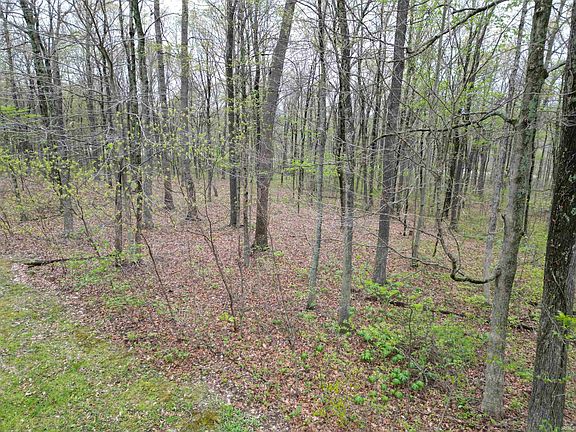 3rd image of TRACT 4 E Pine Rd