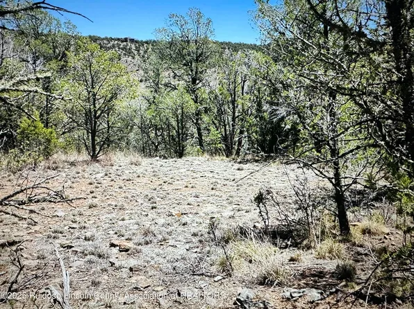 LOT 5 Escondida Dr, Alto, NM 88312