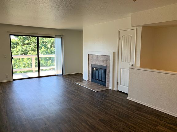 Living Room with Wood Burning Fireplace
