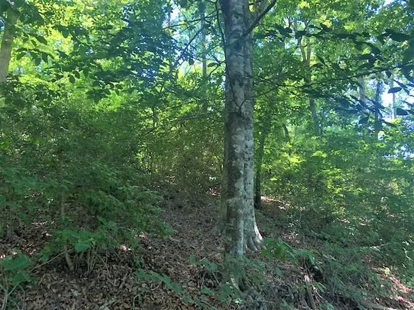 LOT 11 Cottage View Dr Lot 11, Franklin, NC 28734