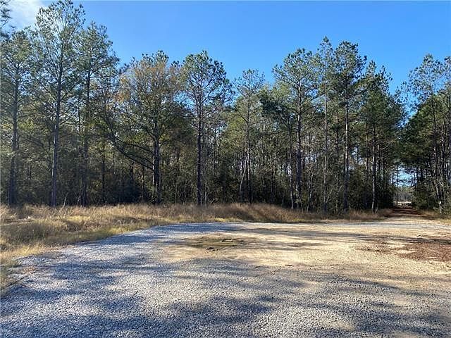 2nd image of 195 Mayhaw Rd