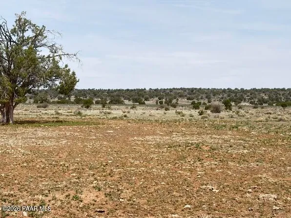 595 Ravens Rst, Seligman, AZ 86337