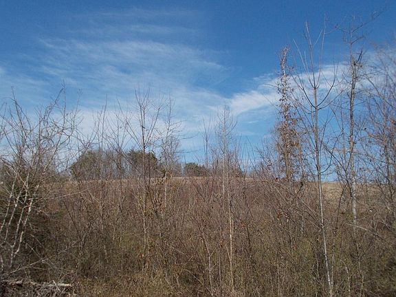 3rd image of Blaylock Road