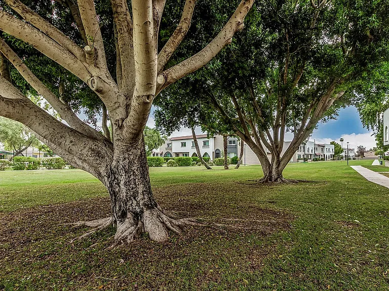Many grassy areas with walking paths.
