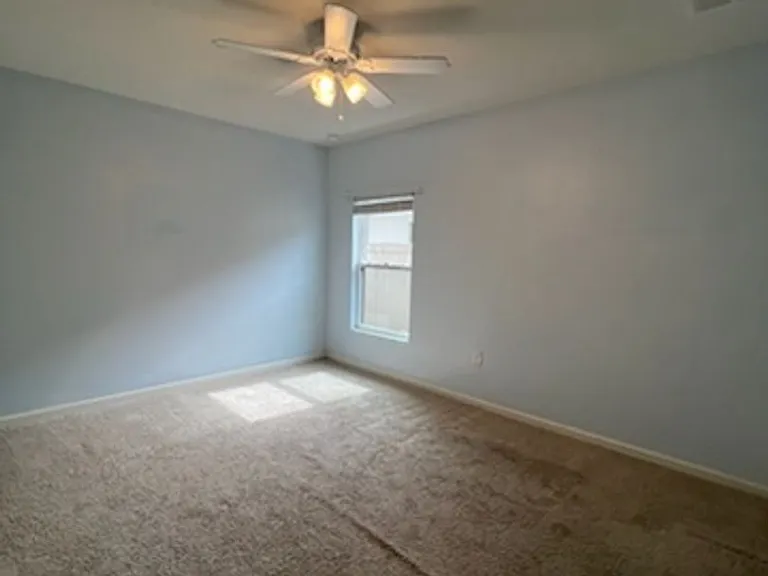 4528 Alligator Flag Cir — Photo 8
