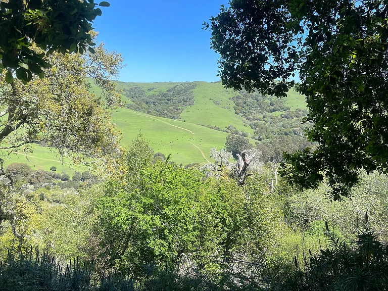207 Vista Heights Rd — Photo 24