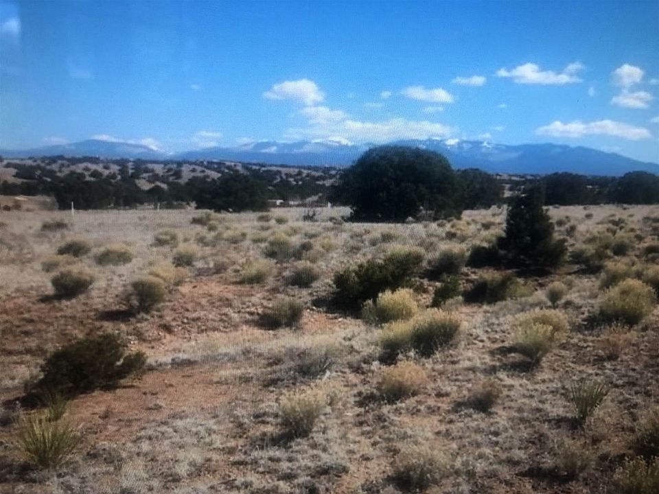 2nd image of 91 Paseo Aragon